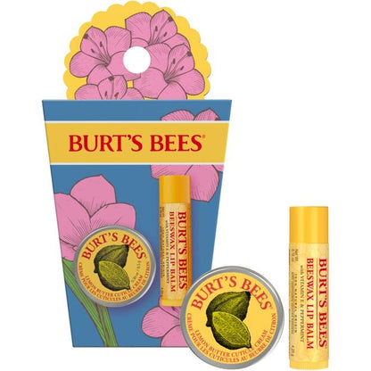 Spring Surprise Gift Set - US 3155